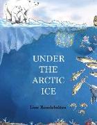 Under the Arctic Ice