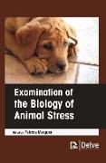 Examination of the Biology of Animal Stress