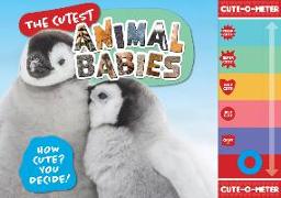 The Cutest Animal Babies: How Cute? You Decide!
