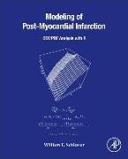 Modeling of Post-Myocardial Infarction