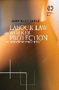 Labour Law and Worker Protection in Developing Countries