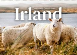 Irland - Malerische Landschaften (Wandkalender 2023 DIN A2 quer)