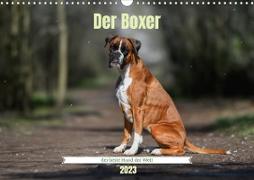 Der Boxer, der beste Hund der Welt (Wandkalender 2023 DIN A3 quer)