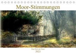 Moor-Stimmungen (Tischkalender 2023 DIN A5 quer)