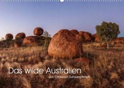 Das wilde Australien (Wandkalender 2023 DIN A2 quer)
