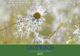 Taufrisch ... am frühen Morgen in der Wiese (Tischkalender 2023 DIN A5 quer)