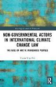 Non-Governmental Actors in International Climate Change Law