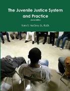 Juvenile Justice System and Practice