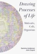 Drawing Processes of Life