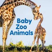 Baby Zoo Animals