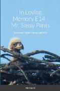In Loving Memory E14 - Mr. Sassy Pants