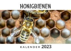 Honigbienen