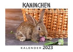 Kaninchen