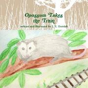 Opossum Takes the Train