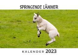 Springende Lämmer