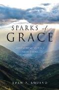 Sparks of Grace: God transforms the world with His grace