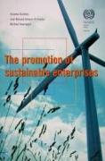The Promotion of Sustainable Enterprises