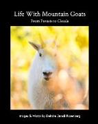 Life With Mountain Goats: From Forests To Clouds