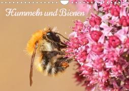 Hummeln und Bienen (Wandkalender 2023 DIN A4 quer)