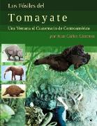 Los Fósiles del Tomayate