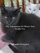 The Adventures Of Moon And Daddy Cat