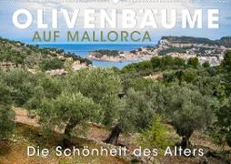 Olivenbäume auf Mallorca - Die Schönheit des Alters (Wandkalender 2023 DIN A2 quer)