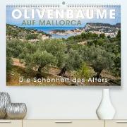 Olivenbäume auf Mallorca - Die Schönheit des Alters (Premium, hochwertiger DIN A2 Wandkalender 2023, Kunstdruck in Hochglanz)