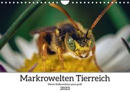 Makrowelten Tierreich (Wandkalender 2023 DIN A4 quer)