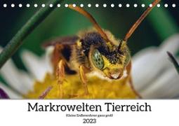 Makrowelten Tierreich (Tischkalender 2023 DIN A5 quer)