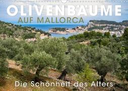 Olivenbäume auf Mallorca - Die Schönheit des Alters (Wandkalender 2023 DIN A3 quer)