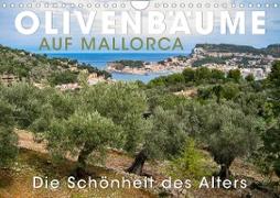 Olivenbäume auf Mallorca - Die Schönheit des Alters (Wandkalender 2023 DIN A4 quer)