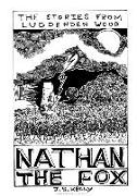 Nathan the Fox