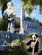Pilgrimage Panda goes to Lourdes