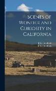 Scenes of Wonder and Curiosity in California