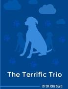 The Terrific Trio