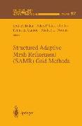 Structured Adaptive Mesh Refinement (Samr) Grid Methods