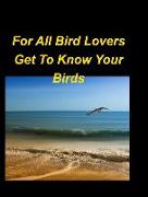For All Bird Lovers Get To Know Your Birds: Birds Trees Sky Colorful Beautiful Small Large Sweet World Woods