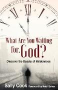 What are You Waiting for God?