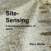 Site sensing