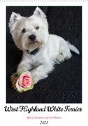 West Highland White Terrier - Herzensbrecher auf vier Pfoten (Wandkalender 2023 DIN A2 hoch)