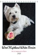 West Highland White Terrier - Herzensbrecher auf vier Pfoten (Tischkalender 2023 DIN A5 hoch)