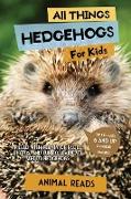 All Things Hedgehogs For Kids