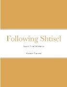 Following Shtisel