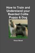 How to Train and Understand your Bearded Collie Puppy & Dog
