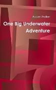 One Big Underwater Adventure