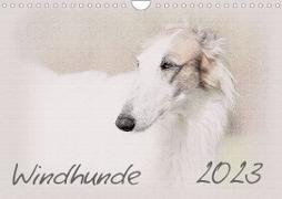Windhunde 2023 (Wandkalender 2023 DIN A4 quer)