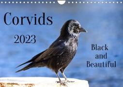 Corvids - Black and Beautiful (Wall Calendar 2023 DIN A4 Landscape)