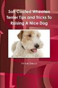 Soft Coated Wheaten Terrier Tips and Tricks To Raising A Nice Dog