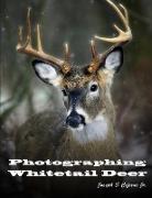 Photographing Whitetail Deer