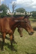 One Blind Sky